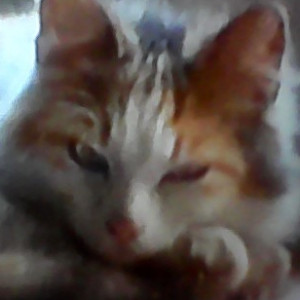EMILIENLOU