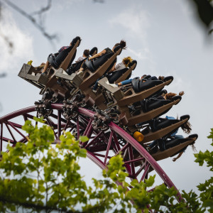 Alexlecoasterfan