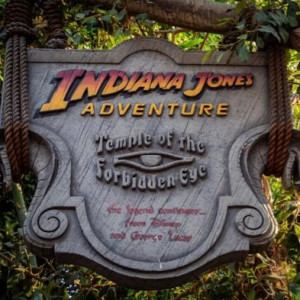 VirtualIndyAdv
