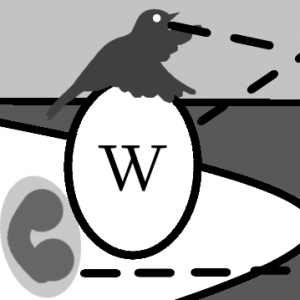 A_Little_Boomer