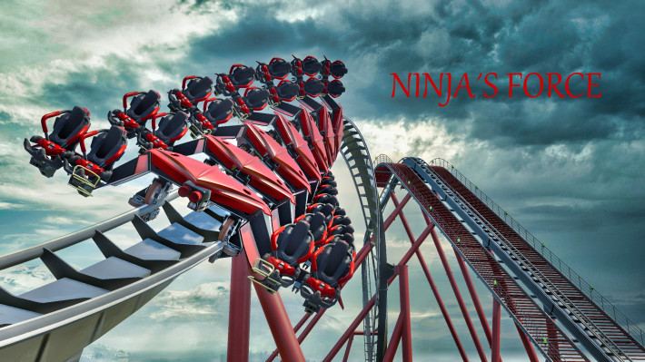 Ninja`s Force